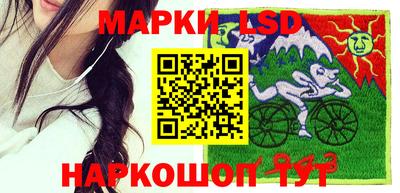 стафф Будённовск