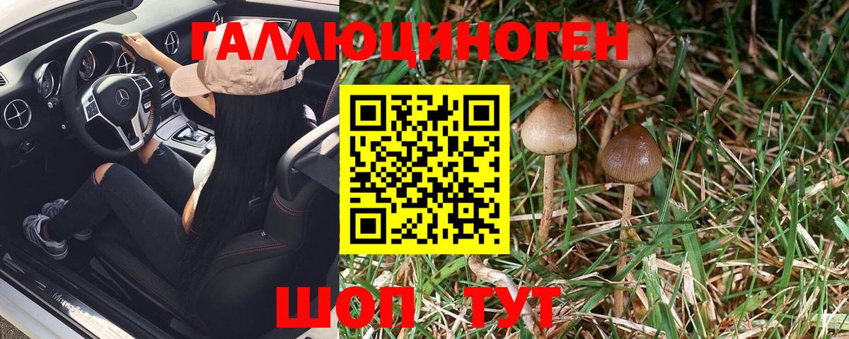 Сургут  цены наркотик  Вход с VPN  Галлюциногенные грибы Magic Shrooms 
